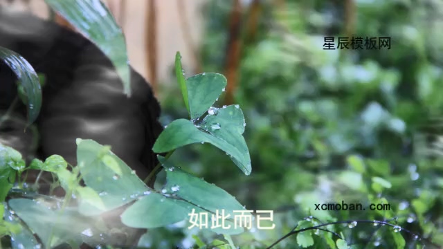 130034ɫʫͼչʾӰx9