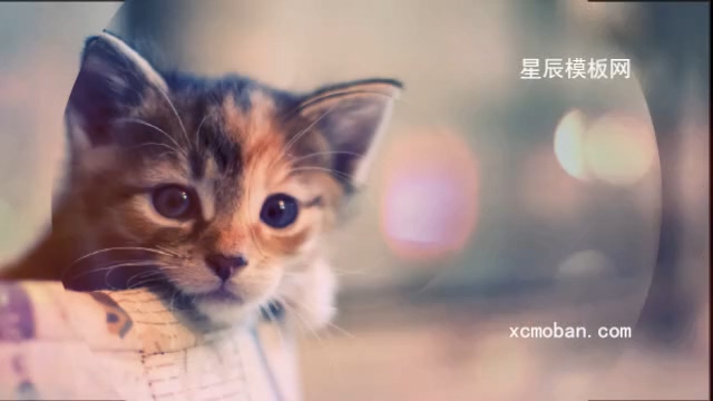 130047ԲMGͼչʾӰx9