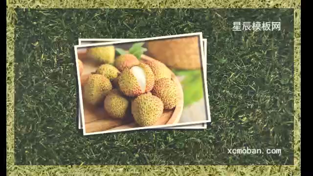 130069ļ²ݵطչʾӰx10