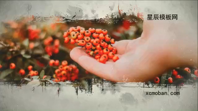 130067ˮīдչʾӰx10