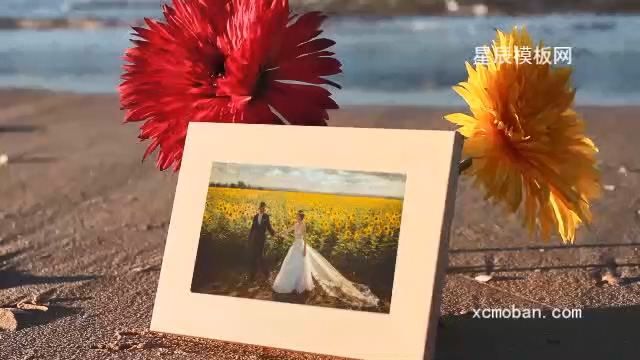 140016ɳ̲ͼƬչʾӰx9